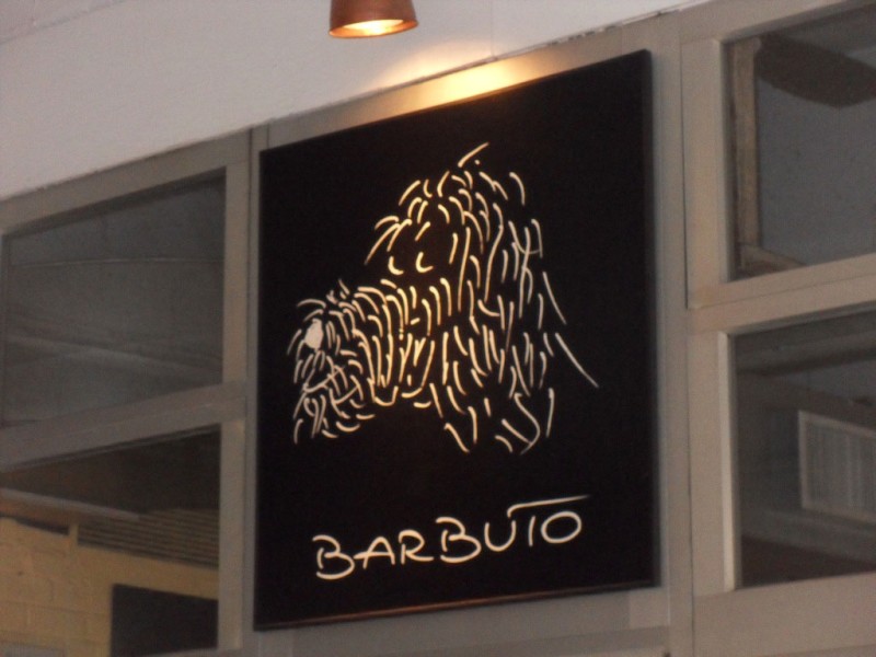 barbuto3.jpg