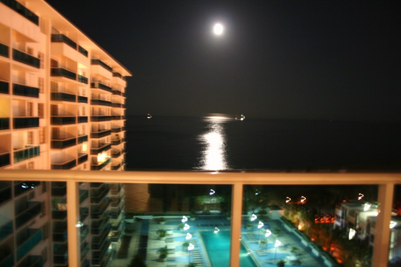 Miami 2010 013.JPG