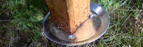 vallgrav mot myrorna