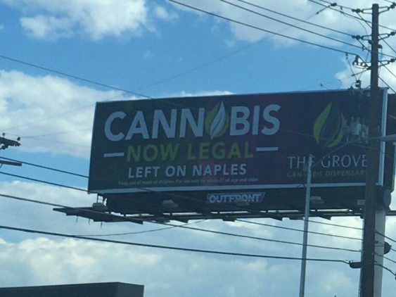 SKYLT:Cannabis