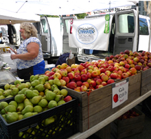 Breezy Hill Orchard säljer både nyplockade äpplen och underbar naturlig äppelcider. 