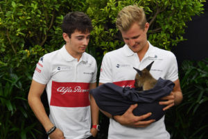 Charles Leclerc (MON) Alfa Romeo Sauber F1 Team and Marcus Ericsson (SWE) Alfa Romeo Sauber F1 Team with a Joey Kangaroo at Formula One World Championship, Rd1, Australian Grand Prix, Preparations, Melbourne, Australia, Thursday 22 March 2018.