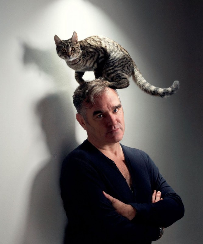 Morrissey Approved.jpg