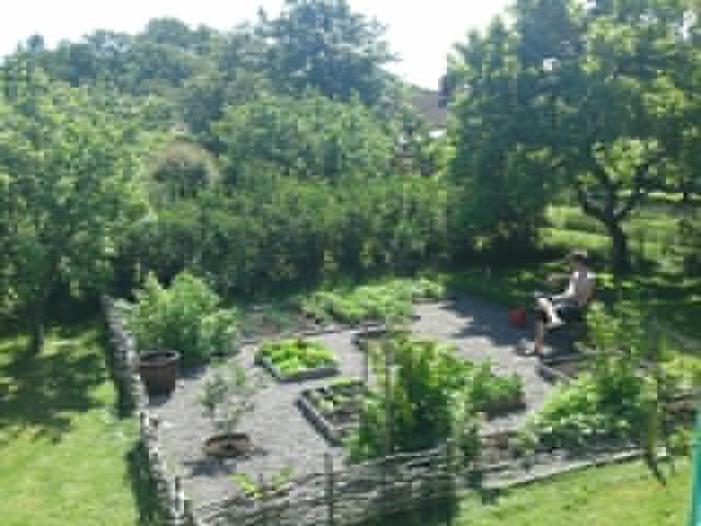 DSC01246.JPG
