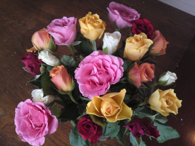20091207.JPG