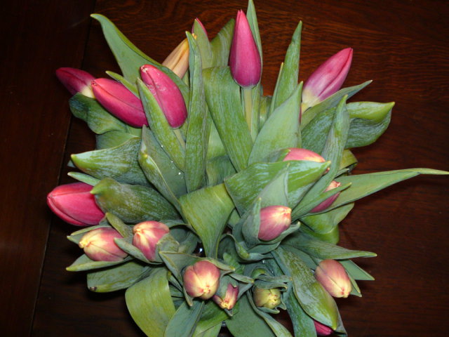20100214.JPG