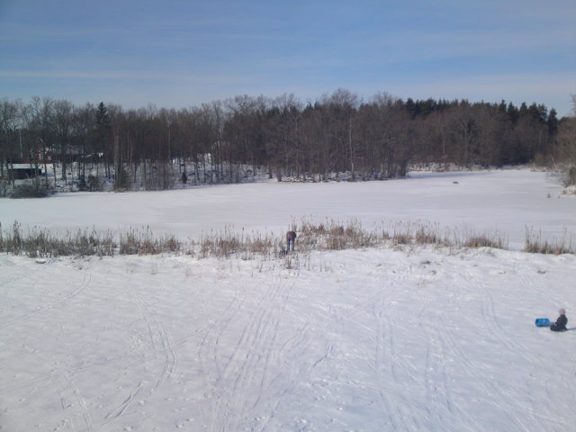 20100307.JPG