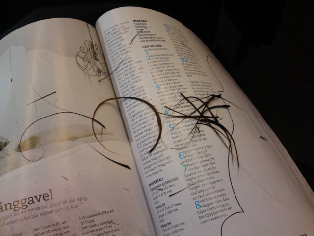 20100421.JPG