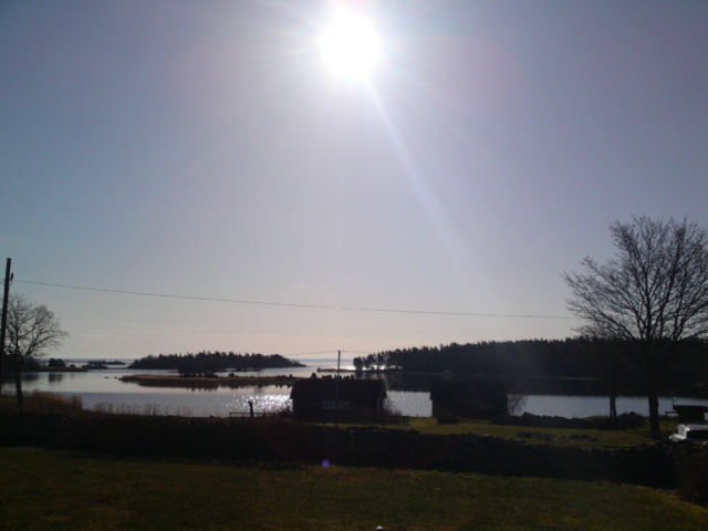 20100425.JPG