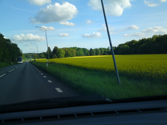 20100529.JPG