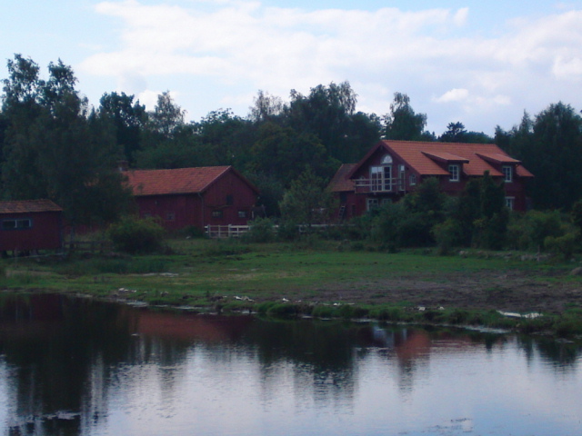 20100810.JPG