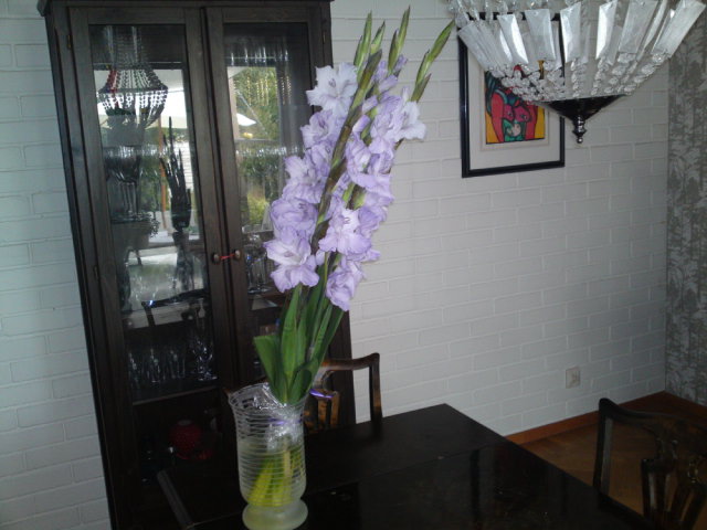 20100907.JPG