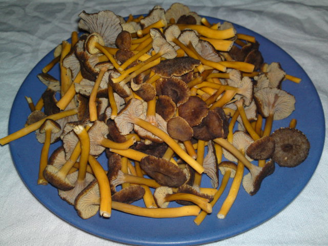 20100926.JPG