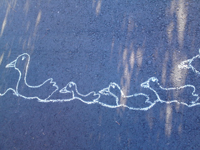 20101016.JPG