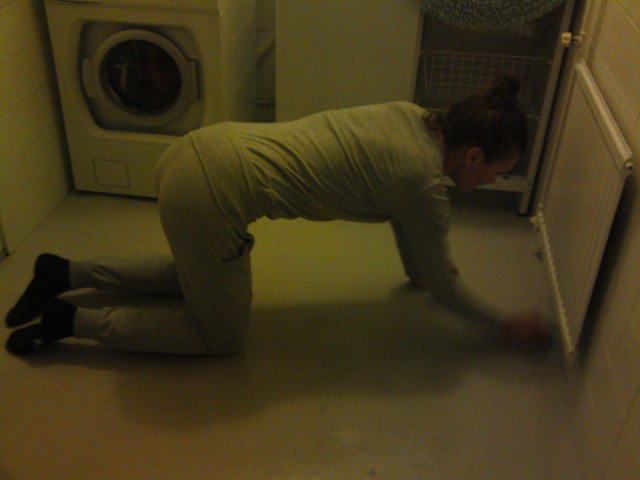 20110115.JPG