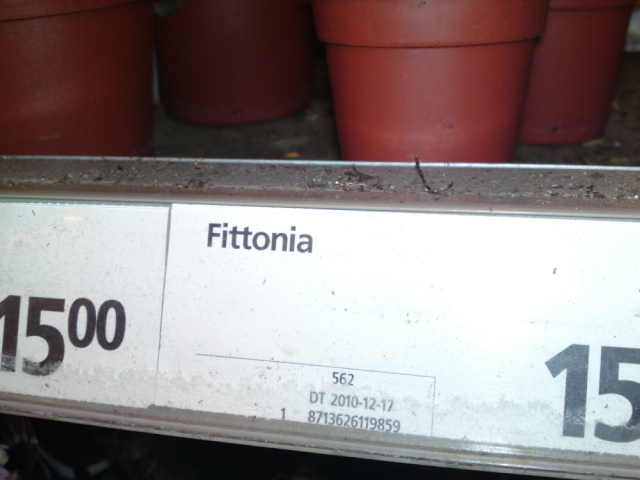 20110208.JPG
