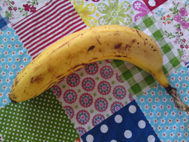 20110510.JPG