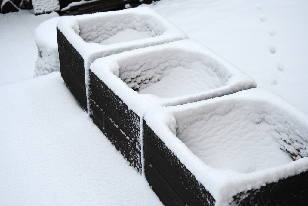 Snö i planteringslådor