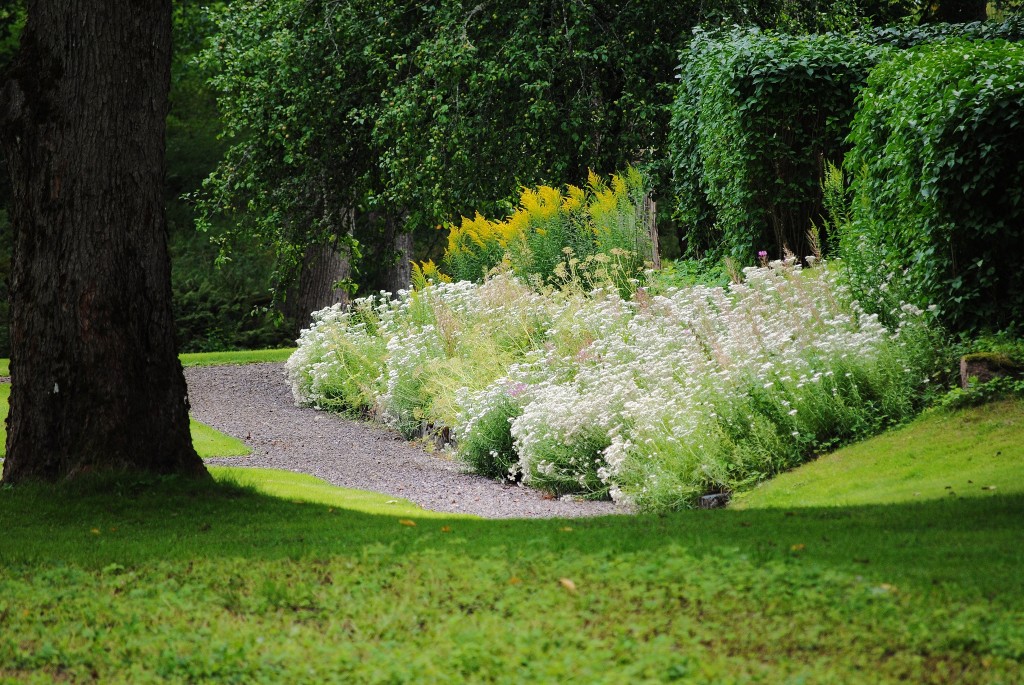 Gammal perennplantering Saxå Herrgård