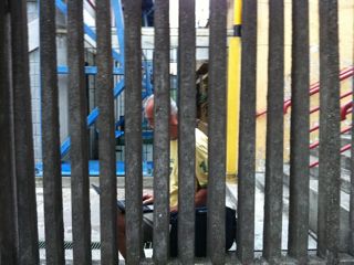 IMG_1370.jpg