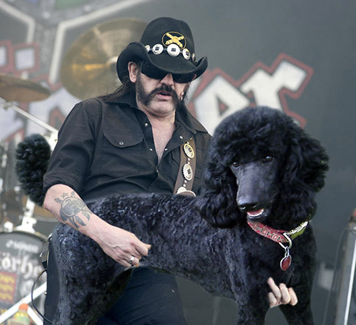 Lemmy, Motörhead.