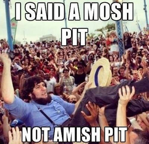 funny-pictures-amish-mosh-pit
