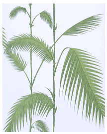 Palm Leaves Green cole son tapetorama.png