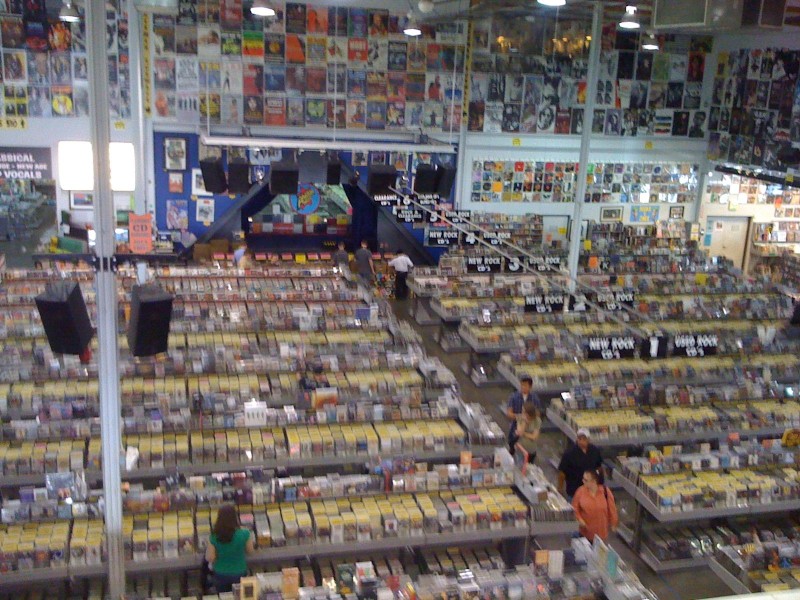 amoeba1.jpg