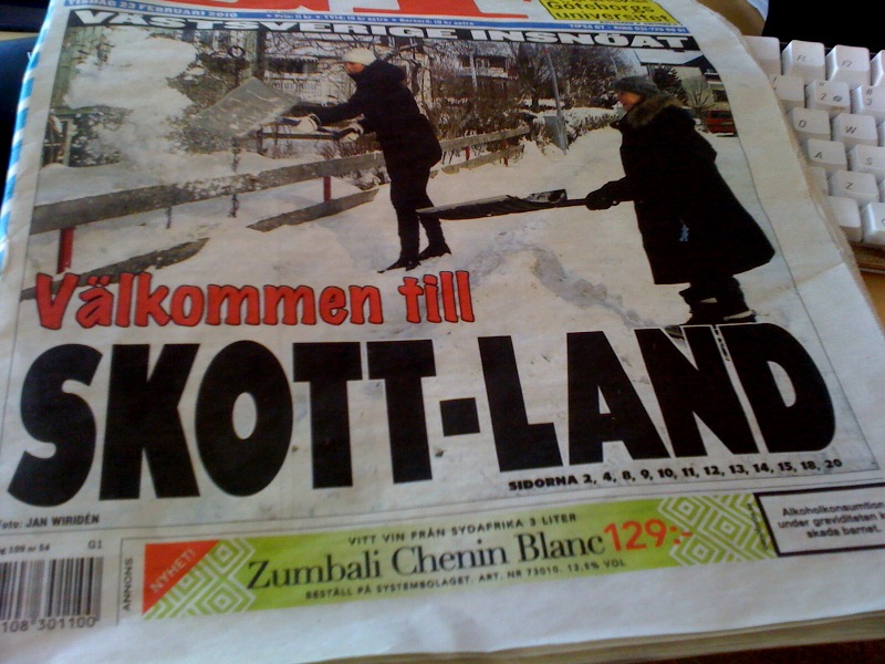 bild.jpg