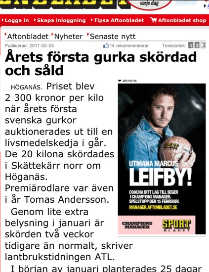 Skärmavbild 2011-02-03 kl. 17.24.21.png