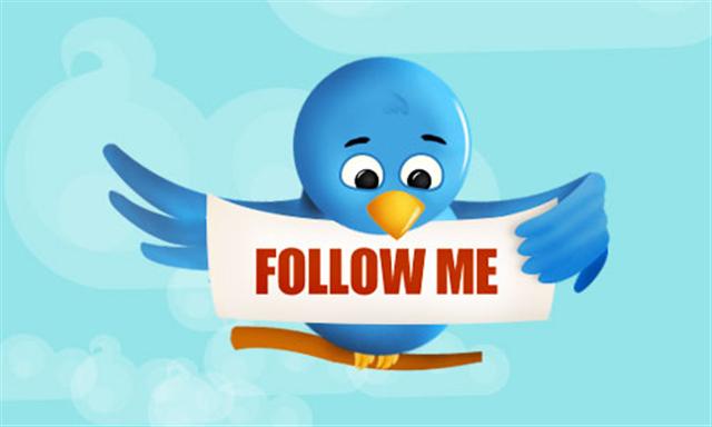 twitter_bird_follow_me__Small__bigger.jpg
