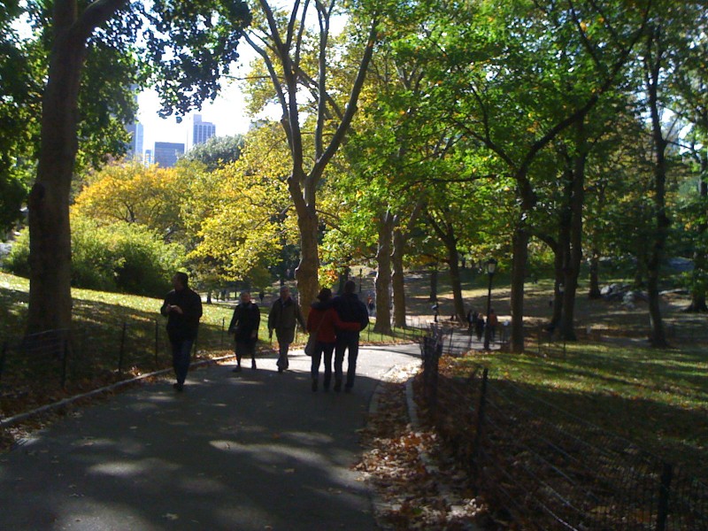 centralpark1.jpg