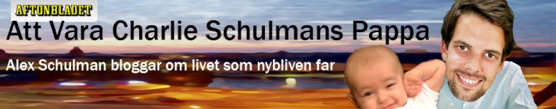 Schulmanbanner-omgjord.jpg