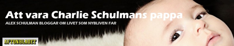 Schulmans sidhuvud.jpg