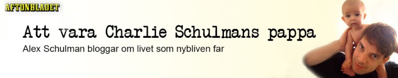 schulmanheader.jpg