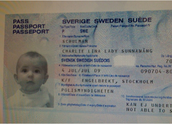 Skärmavbild 2010-01-04 kl. 13.17.41.png