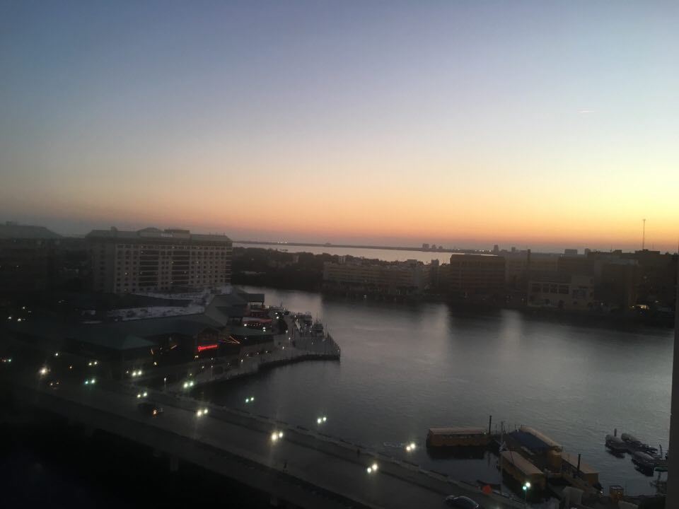 TAMPA
