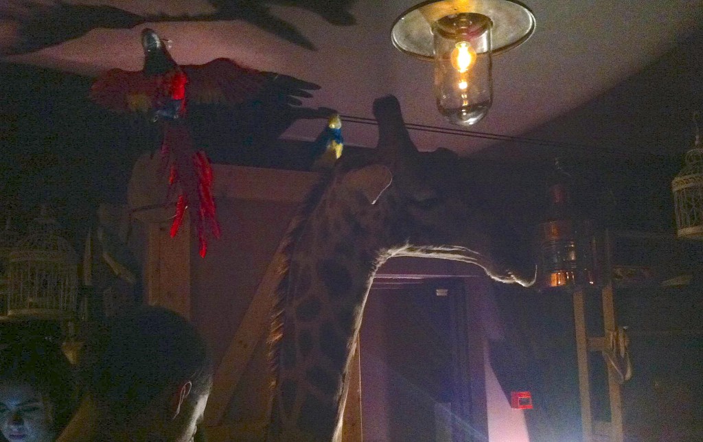 En giraff och en papegoja gick in i en bar... Ovanvåningen på Steam & Rye är något helt unikt.