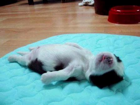 exhausted-1.jpg