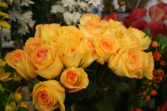 IMG_7400.JPG