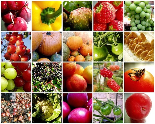 fruit-vegetable-mosaic.jpg
