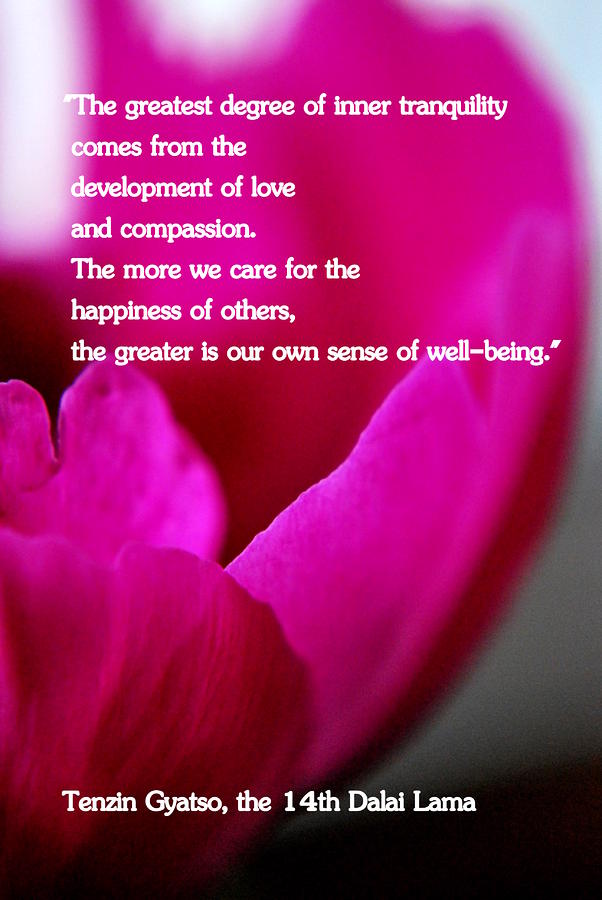 tranquillity-quote--14th-dalai-lama-michelle-barlondsmith.jpg