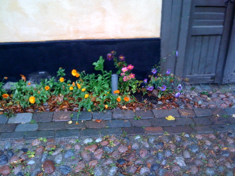 bild-36.jpg