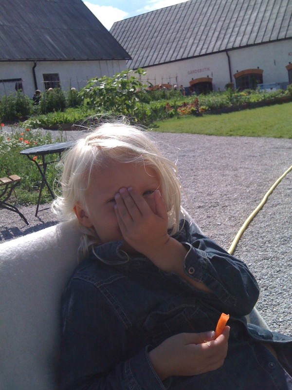 sommar 2.jpg