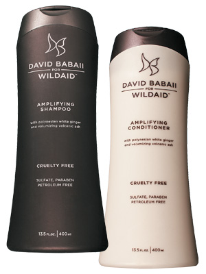 david-babaii-hair-care-300