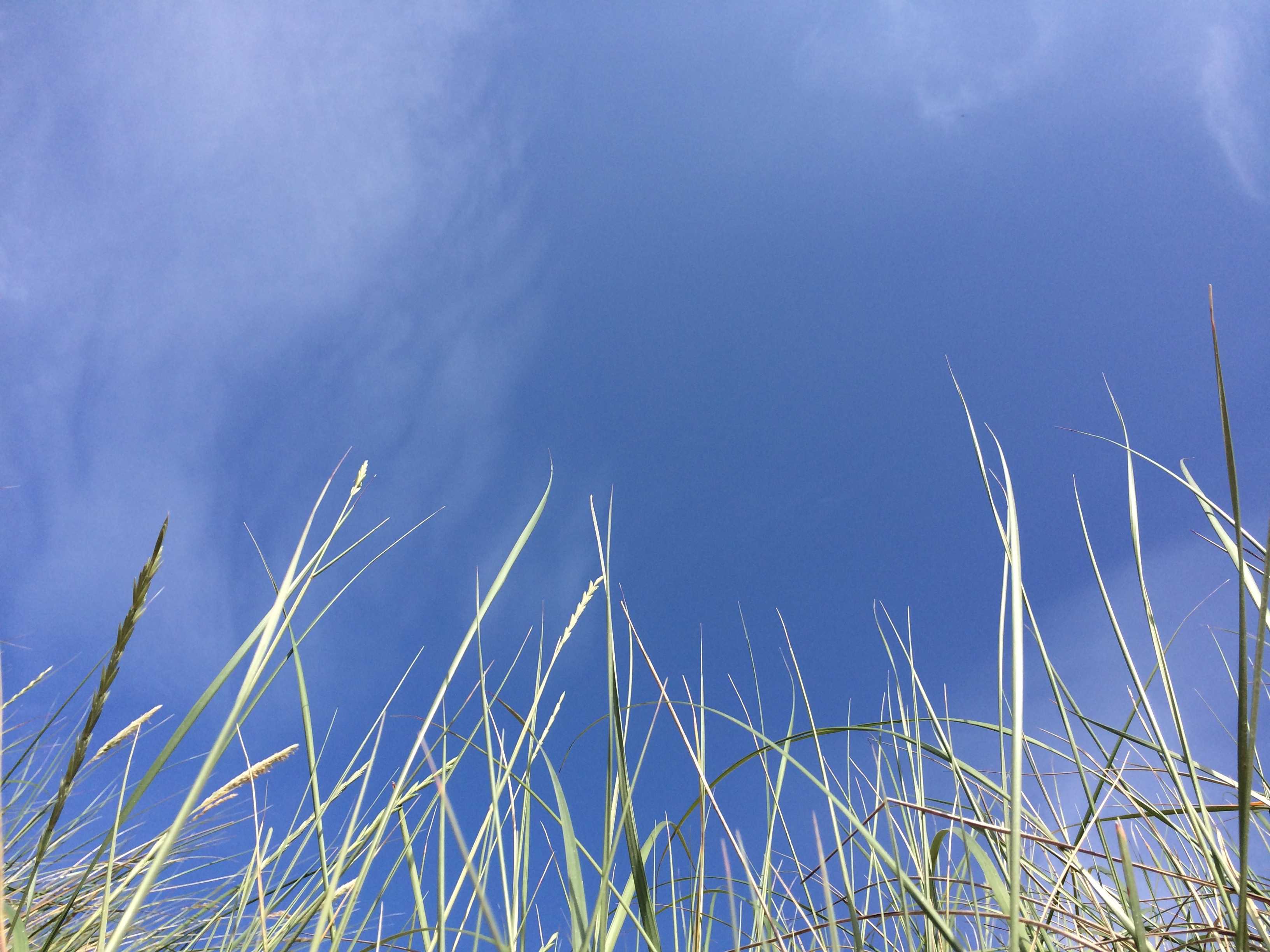 Ozonlagret fortsätter att tunnas ut, enligt ny forskning, vilket betyder att solskydd med hög spf är viktigare än någonsin. Foto: Skönhetsredaktörerna