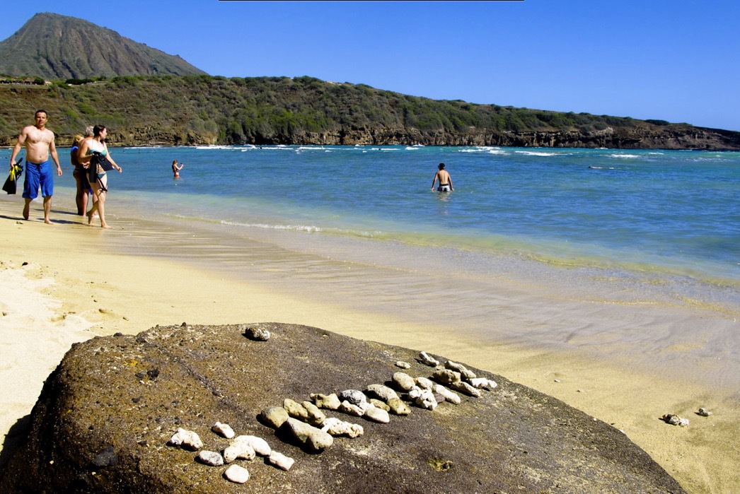 Hanauma beach nordöst om Waikiki har speciella föreskrifter att följa på grund av der rika djurlivet under ytan.