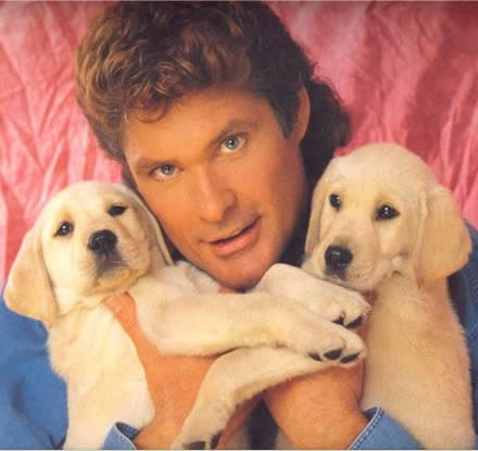 hoff.jpg