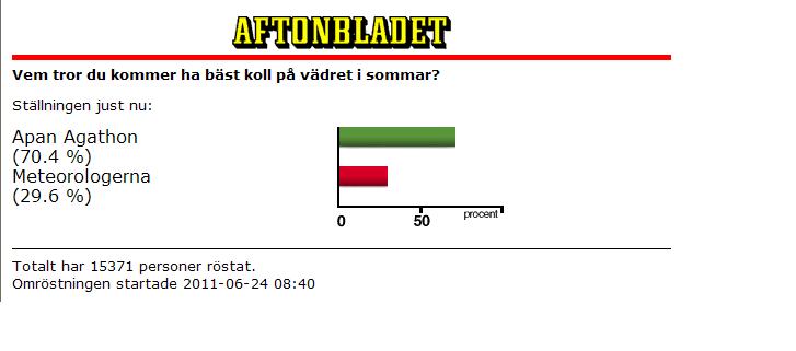 omröstning.JPG