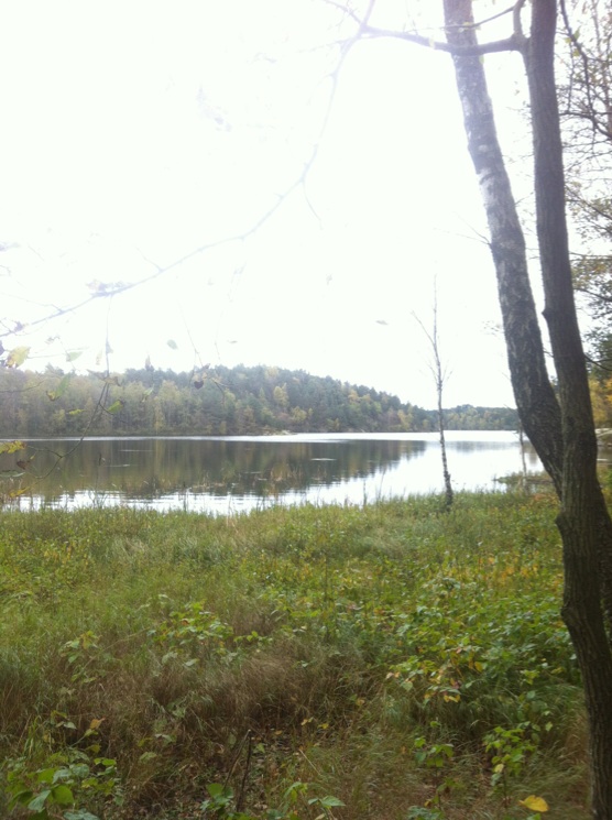IMG_2351.jpg